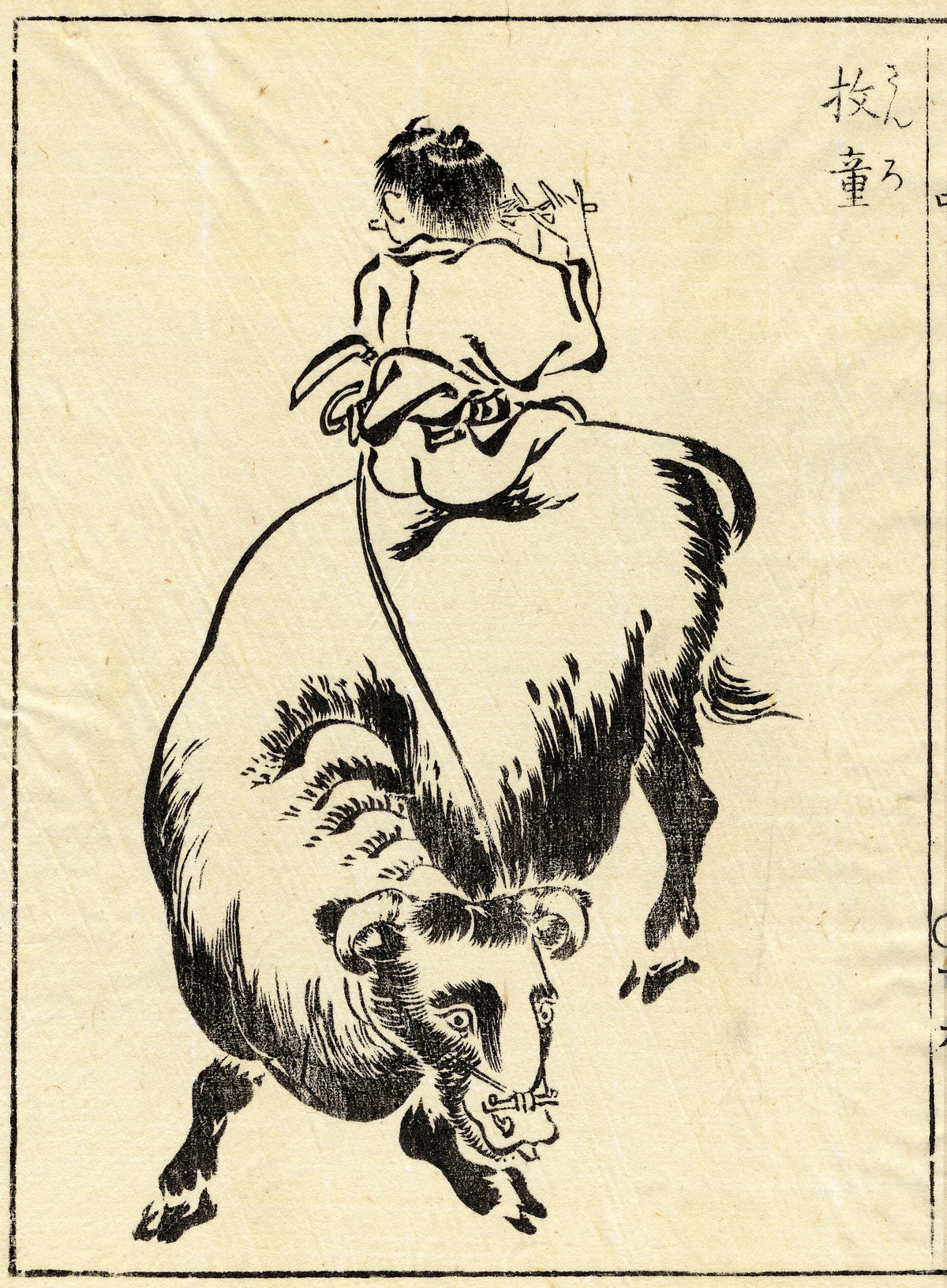 A boy seated on the back of an ox, shown in bold black lines.