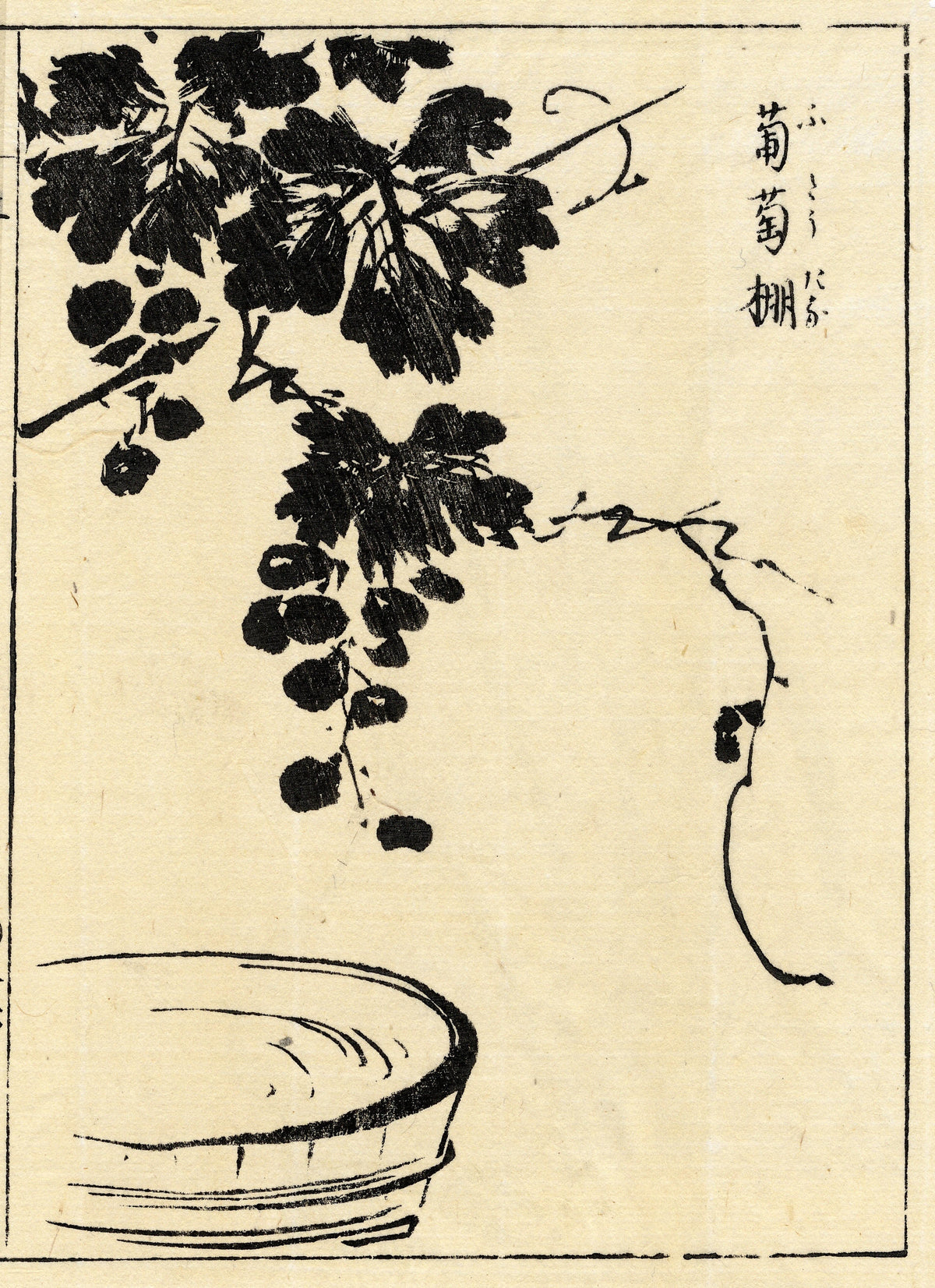 Clusters of grapes and broad vine leaves hanging above a shallow bowl.