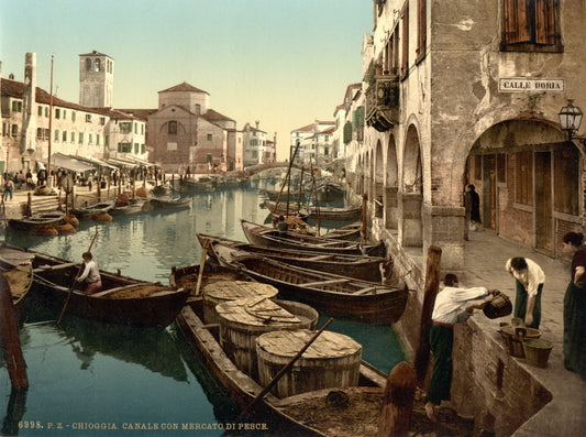 Chioggia, fish market, Venice, Italy, 1890
