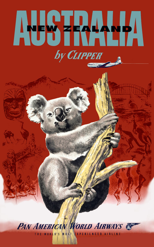 Australia New Zealand by Clipper - Pan American Koala Poster