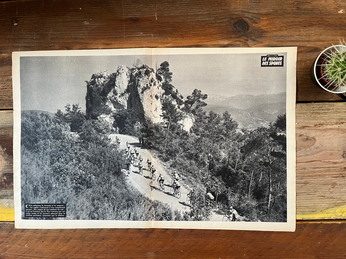 Tour de France vintage poster Provence c1963