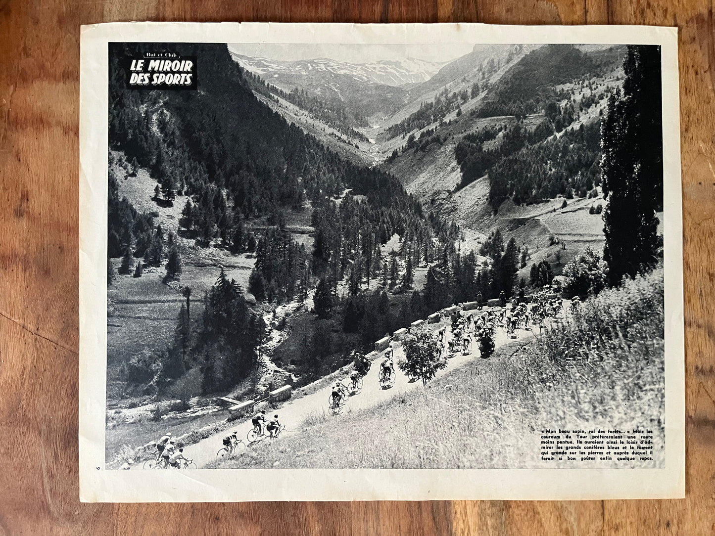 Vintage Tour de France cycling print c1958