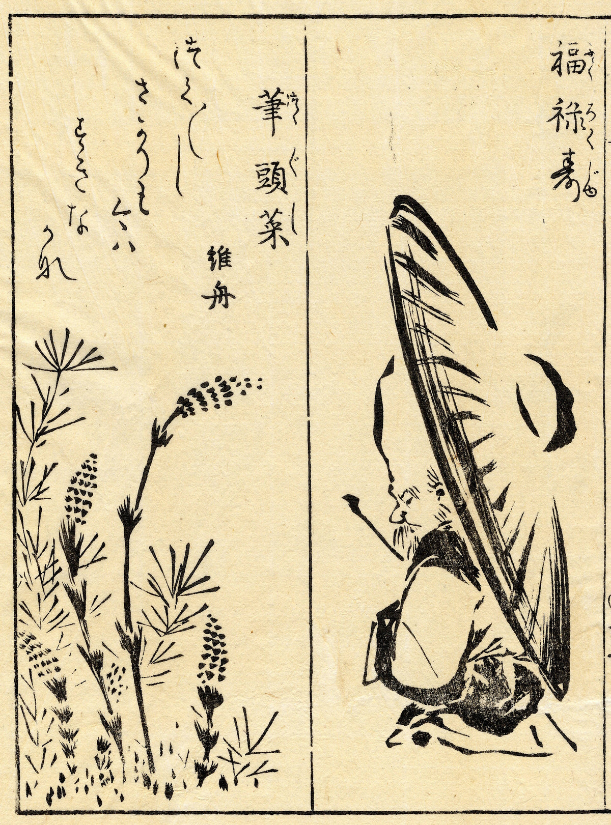 A divided composition pairing delicate plants with a seated figure wearing a tall headdress.