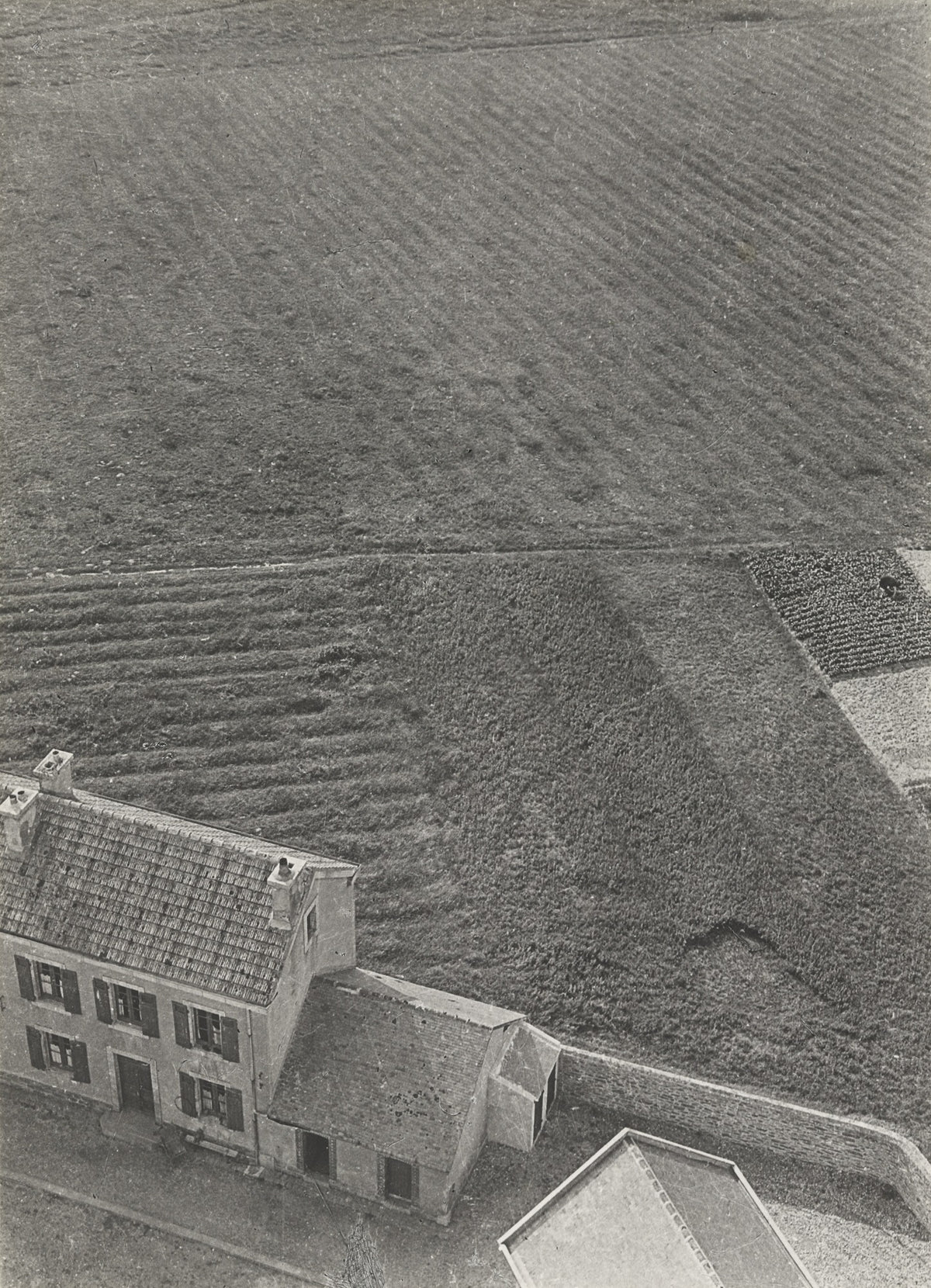 Geometry and Texture of Landscape 1925 | Photography Print