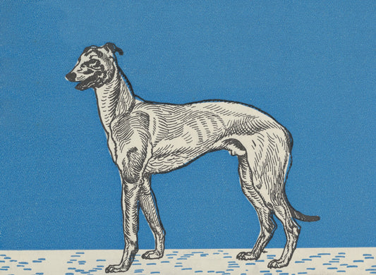 Vintage Greyhound poster, Moriz Jung c1912