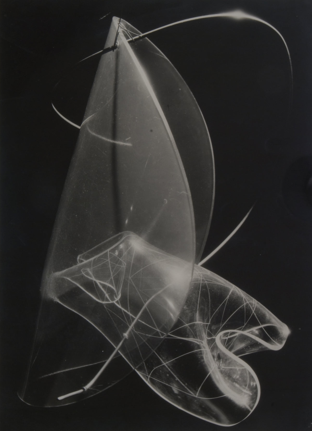 Curved Forms | Abstract Photographic Print
