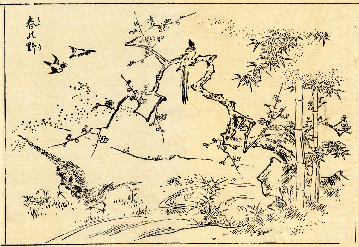 Birds among flowering branches and bamboo beside a winding stream.