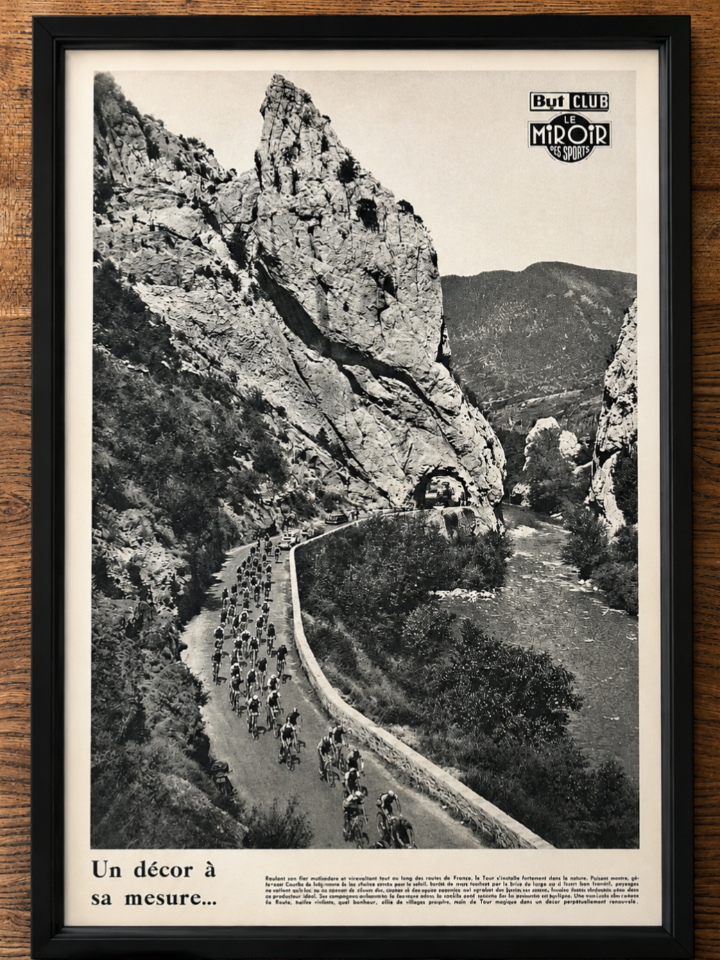 Vintage Tour de France cycling print 1951
