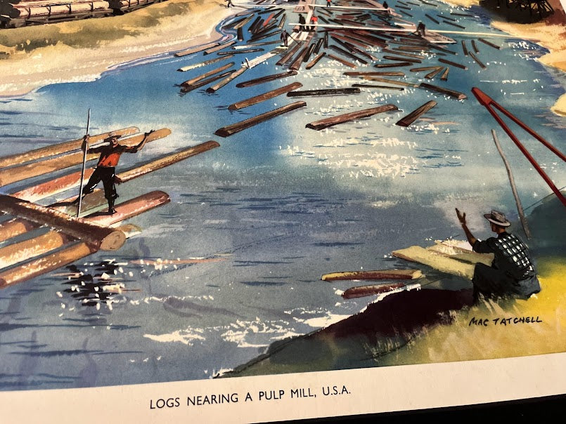 Vintage 1950s school poster - 'Logs nearing a Pulp mill' - Mac Tatchell