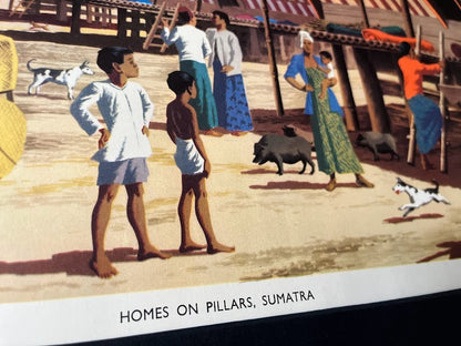 Vintage 1950s school poster - 'Homes on poles in Sumatra'