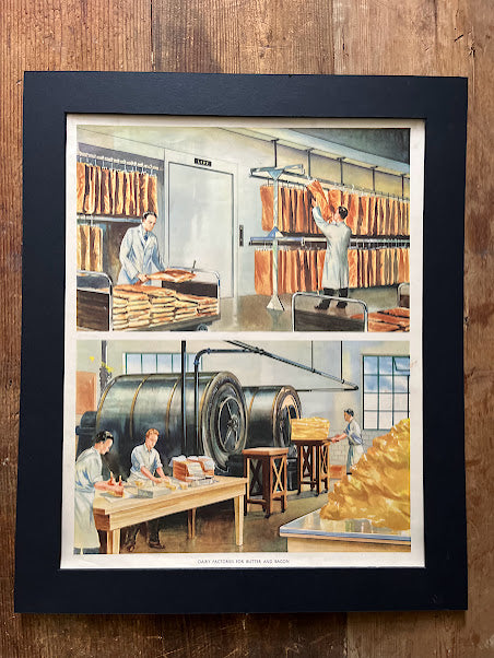 Vintage 1950s School Poster -  Dairy factory