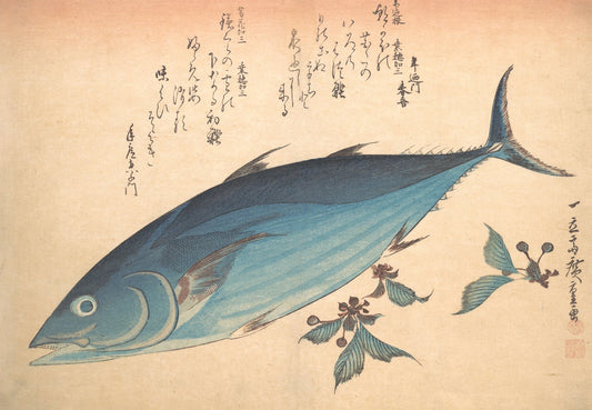 Katsuo Fish with Cherry Buds, from the series Uozukushi Vintage print
