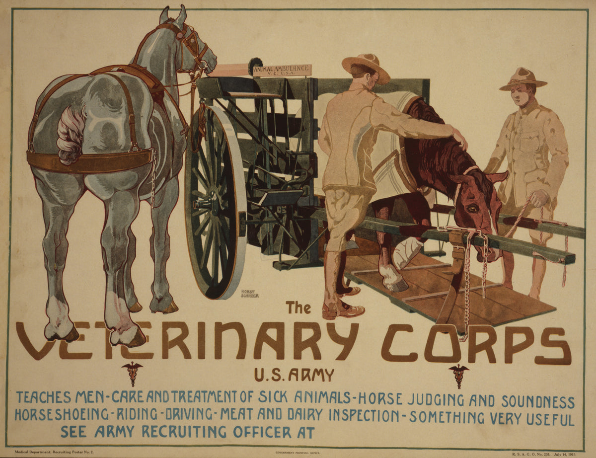 Uniformed veterinary personnel tend a horse beside an animal ambulance above large brown recruitment lettering.