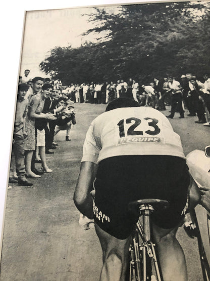 Vintage Cycling Print - Tour de France, Felice Gimondi Bianchi/Salvarani, Original 1965