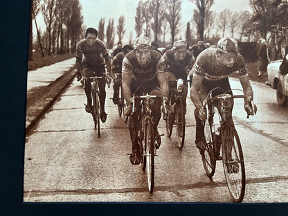 Vintage Cycling Print - Paris-Roubaix Race, Roger Rivière Rik van Looy, Original 1959