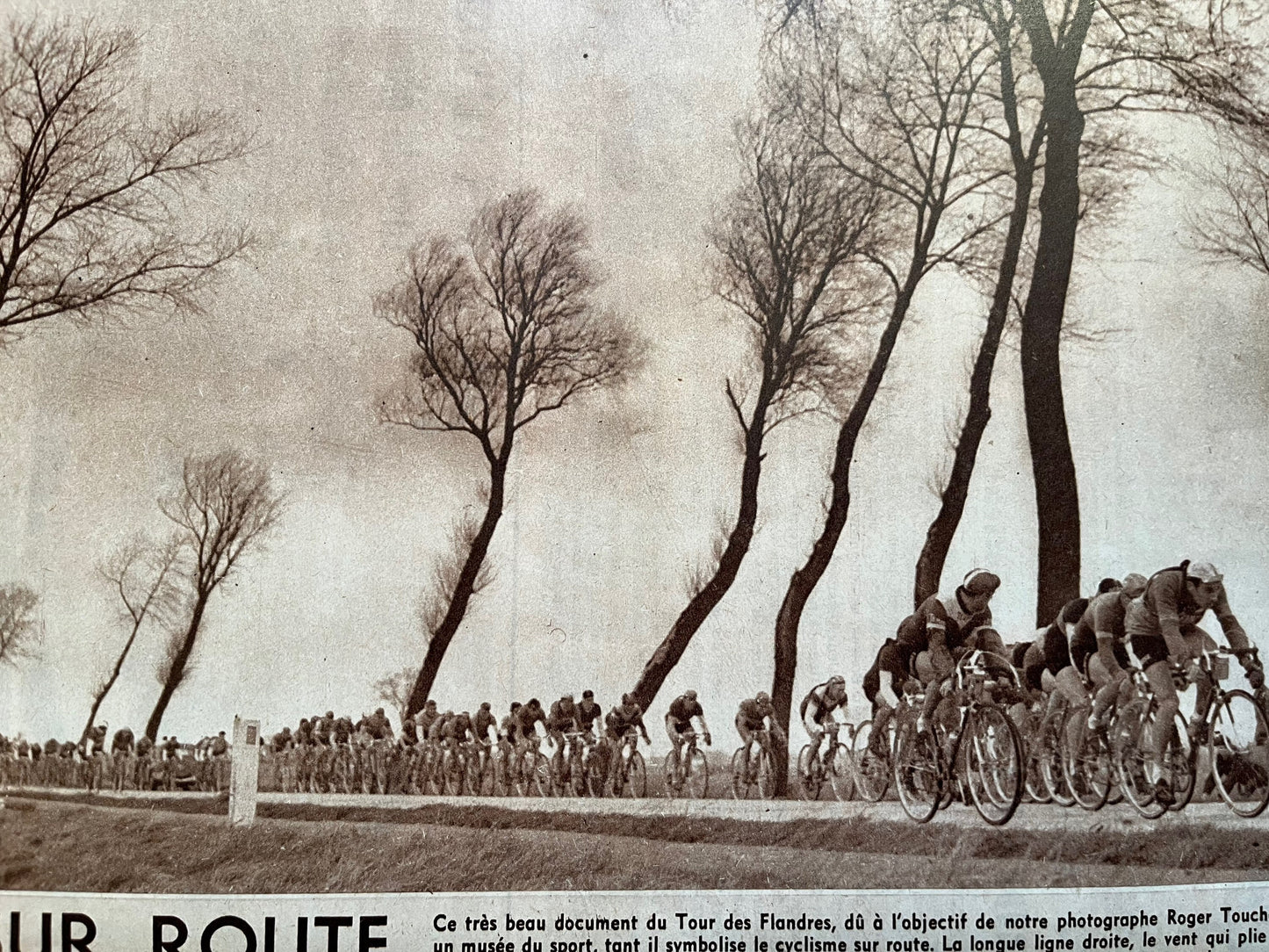 Vintage cycling print 1953 Tour de Flandres.