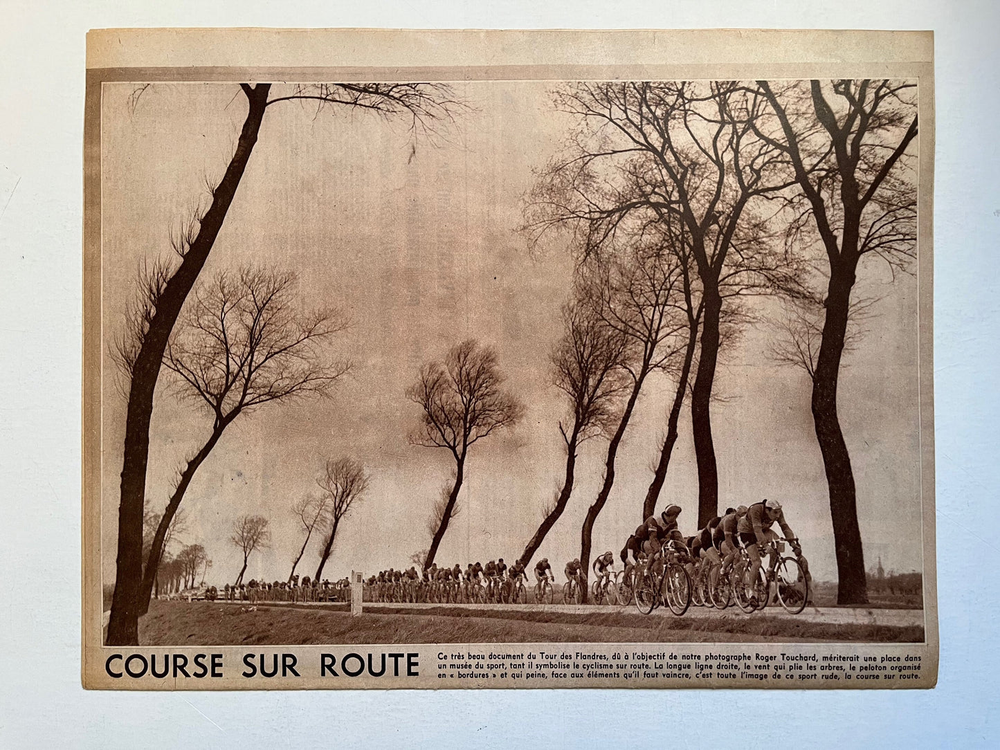 Vintage cycling print 1953 Tour de Flandres.