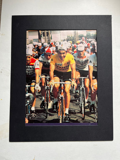 Vintage Cycling Print - Eddy Merckx, Original 1976