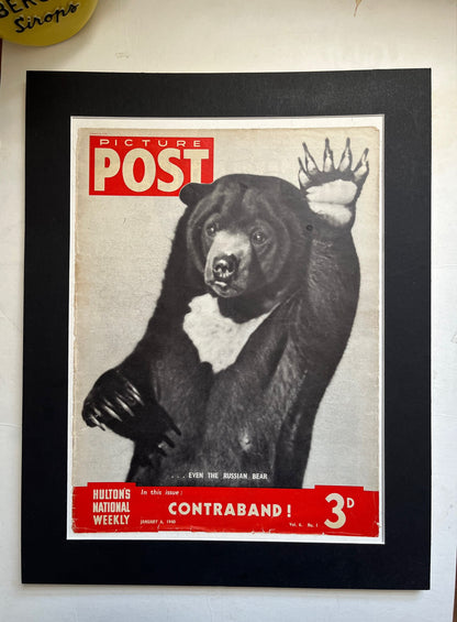 Vintage Magazine Cover - Russian Bear, Picture Post, Original 1940